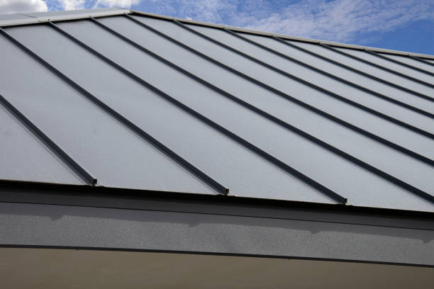Best Roof Moss and Algae Removal  in Harveys Lake, PA